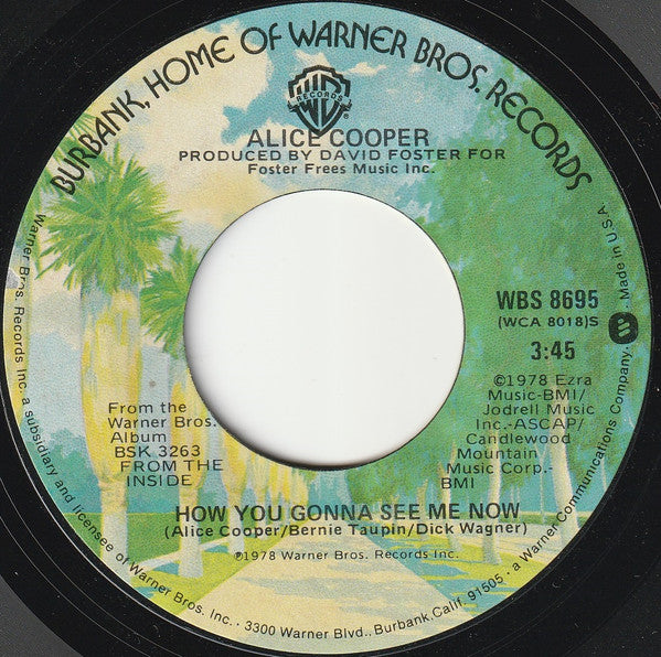 Alice Cooper (2)   How You Gonna See Me Now